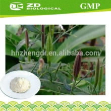 Factory supply andrographis paniculata powder 98%